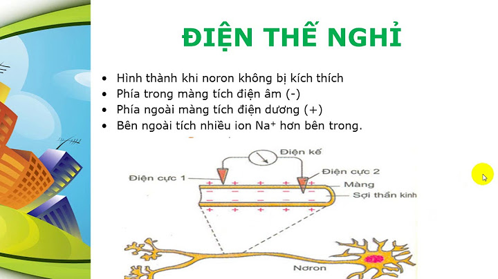 Tế bào chết thì điện thế nghỉ bằng bao nhiêu năm 2024