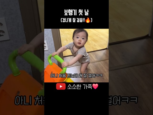 드디어 걷는 모습을 봤소호❤️ ㅎㅎ