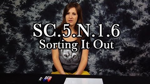 SC.5.N.1.6 Sorting It Out