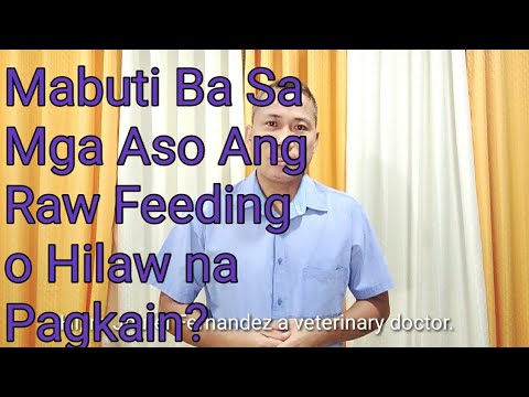 Video: Raw Diet Para Sa Mga Aso: Mabuti Ba Para Sa Iyong Aso?