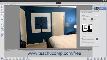 Photoshop Elements 2020 Tutorial Replacing Color Adobe Training