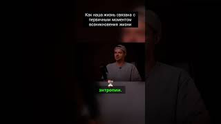 Как наша жизнь связана с первичным моментом возникновения жизни #shorts #знания #космос #КУКУШКИН