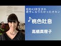 昭和43年生まれ歌手になりたかったオカン♪高橋真理子♪桃色吐息♪カラオケ歌って見た