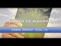 Usikie Bwana Yesu 194