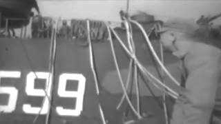 Marine Action On Beach Of Okinawa, 04/04/1945 (full)