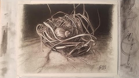 How to Draw a Bird Nest Part 4 of 4