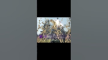 Call of Duty Modern Warfare 2 2009