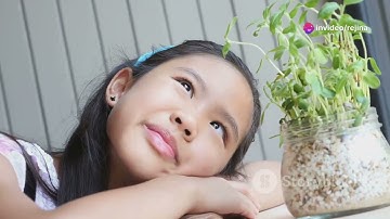 Unlock Your Mind: Mastering Critical Thinking