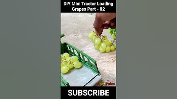 DIY Mini tractor loading grapes part 03 | Science project #shorts  @MiniProjectVerified