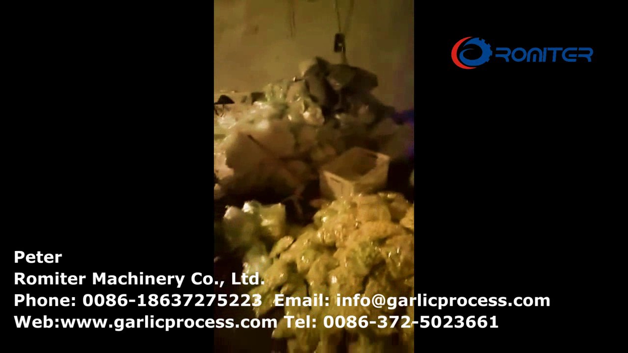 Full Automatic Peeled Garlic Clove Packing Line for Sale