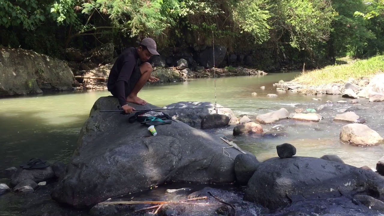 Memancing ikan tawes memakai umpan cacing 