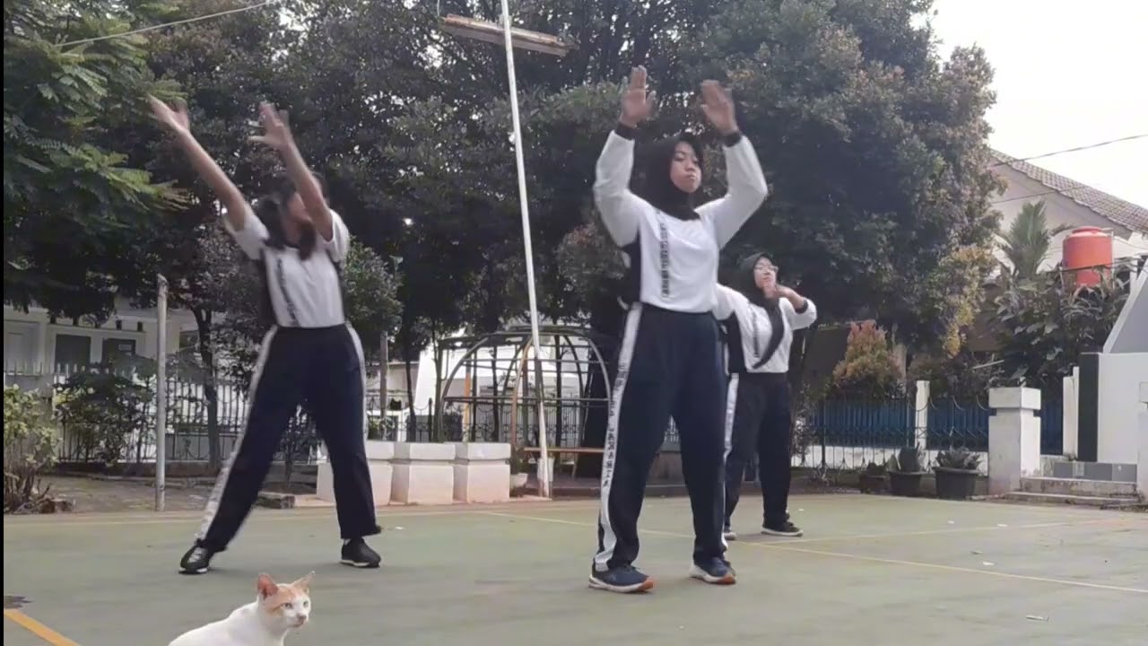 Senam Irama X B Kel 3 SMAN 54 Jakarta – Dj Dalinda Old x No Comment, Sempurna