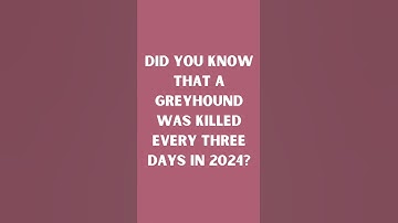 Hounds Underground. For public awareness of the plight of racing greyhounds. And some happy endings