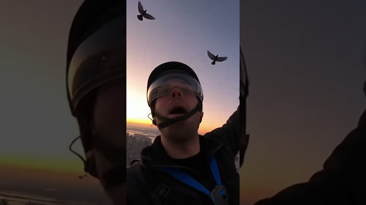 “Creator Gone Wild: Fame or Fail Edition 🏙️💩 