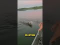 Bear Swimming Blind in the River… What This Couple Did Saved Its Life