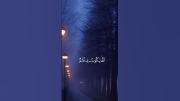 يَا زَكَرِيَّا إِنَّا نُبَشِّرُكَ بِغُلَامٍ اسْمُهُ يَحْيَىٰ- فارس عباد -سورة مريم #حالات_واتس #قرأن