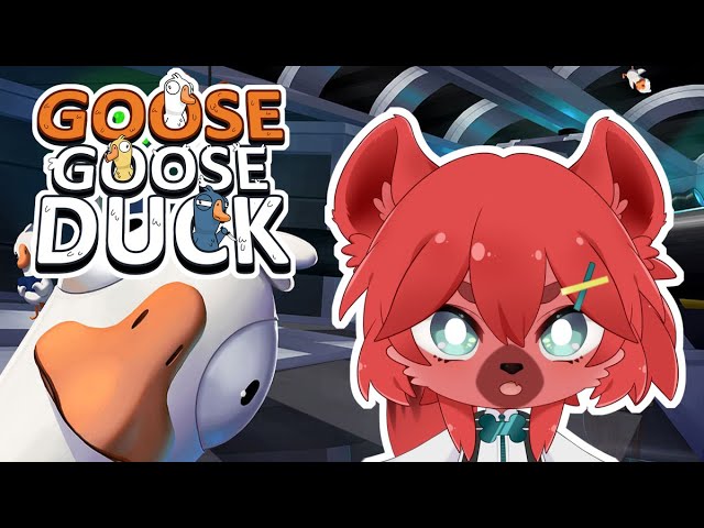 【Goose Goose Duck聯動】初見朋友都變敵人！！【鬣崎米娜米】 ft. 多人 | MYViki