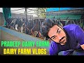 2 साल पहले ही शुरू की था Dairy फार्म | Tips for a successful dairy farm, dairy vlog,#cow #farm