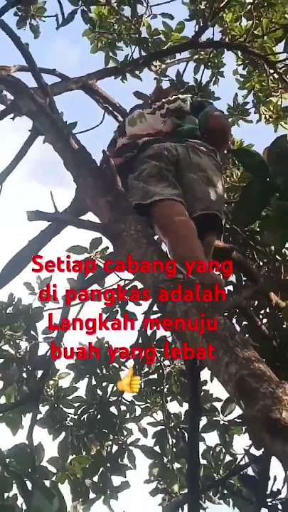 Hari libur tidak masuk kerja💪👍 #motivasi #hidupdidesa #fypvideoshort