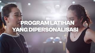FIT HUB Personal Trainer Program: PT Overview