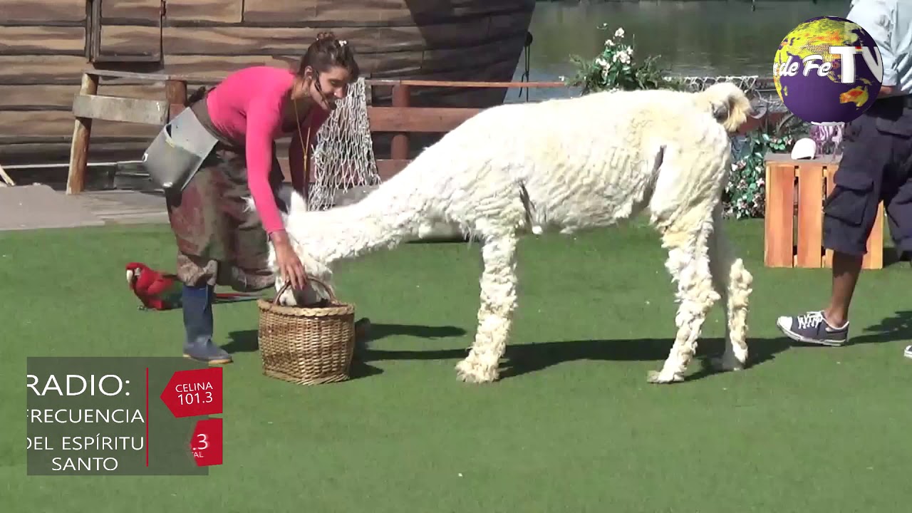 El Arca de Noe - Mundo Marino Argentina2021