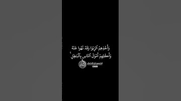 ماهر المعيقلي - سورة النساء ( برواية حفص عن عاصم ) الأية 161