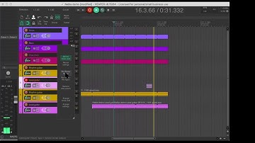 Reaper - Rec/Bump custom action with Nabla looper