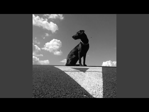 Le Payaco — Svetskí vedci