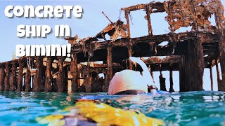 4 Months In The Bahamas Part 1 Bimini Bahamas Snorkeling