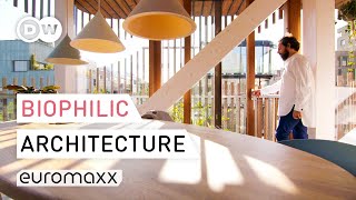 Tour Of Biophilic Apartment In Amsterdam