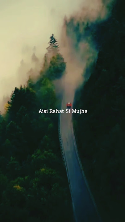 teri bahon mein mili aisi rahat si mujhr #deewanakarrahahai #javedali #lovestatus #aesthetic #love