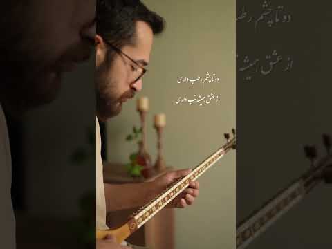 تو نی نی چشات خیسه تکنوازی سه تار به یاد شاهرخ