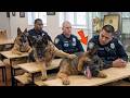 When Police Dogs Forget Their Job
