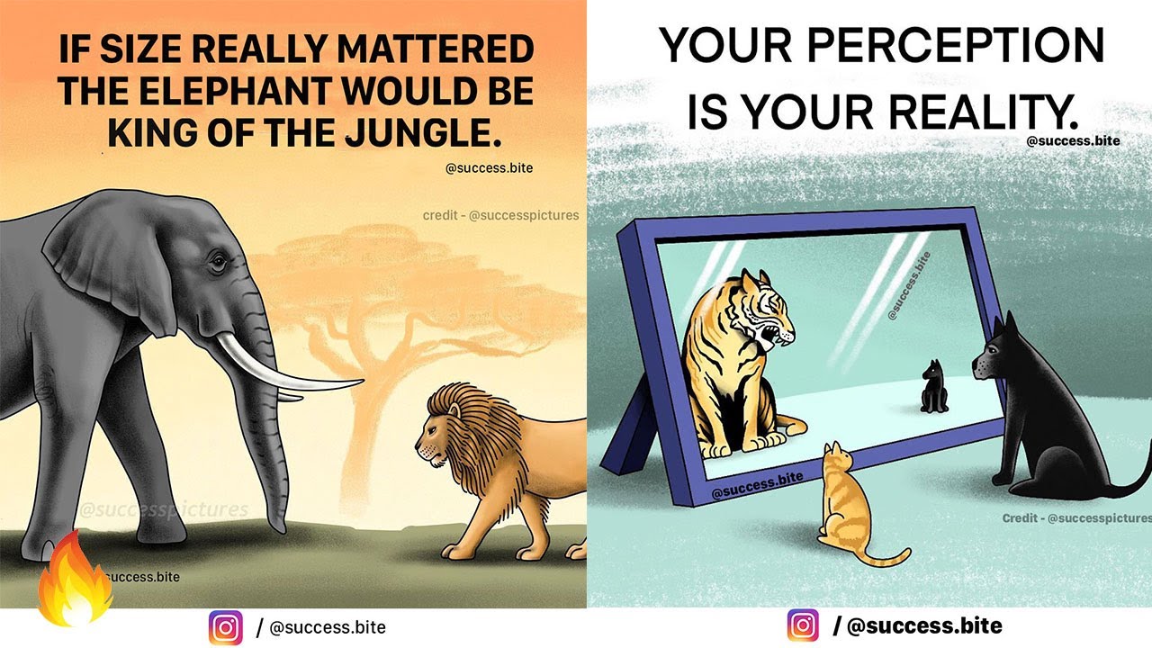 30 Pictures With Deep Meaning One Picture Million Words Part 3