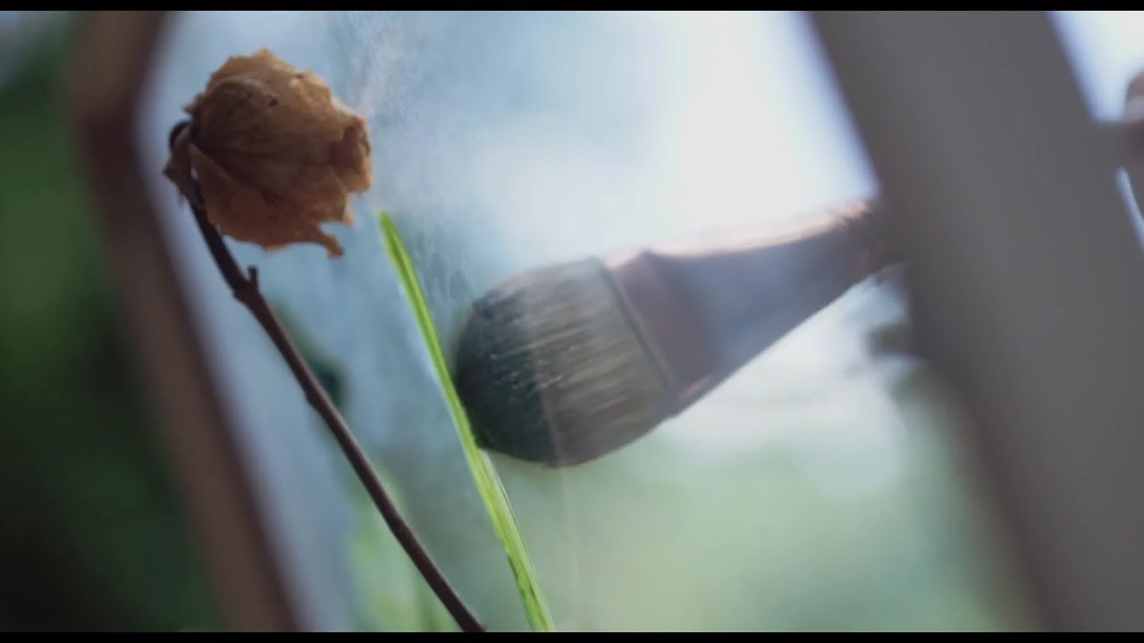 Amy Vachal - Today (Video)