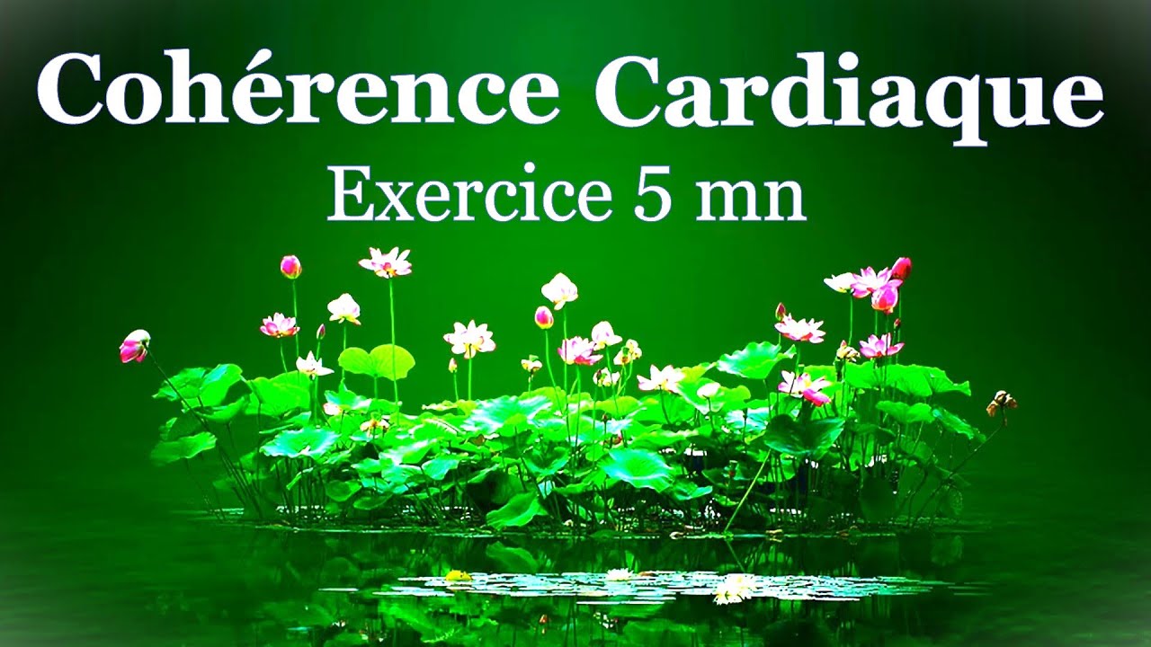 cohérence cardiaque exercice 5 mn