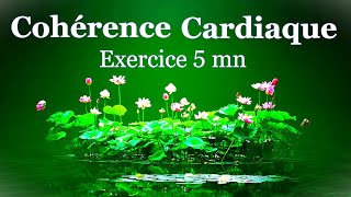 cohérence cardiaque exercice 5 mn