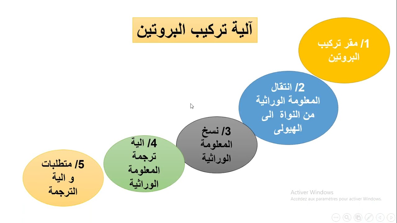هل تعلم ان الاسيتابولاريا تركب البروتين                  لا يفوتك  التمرين تمارين للمراجعة باك 2022