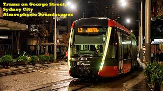 Trams on George Street, Sydney City - Anamorphic Streetscapes