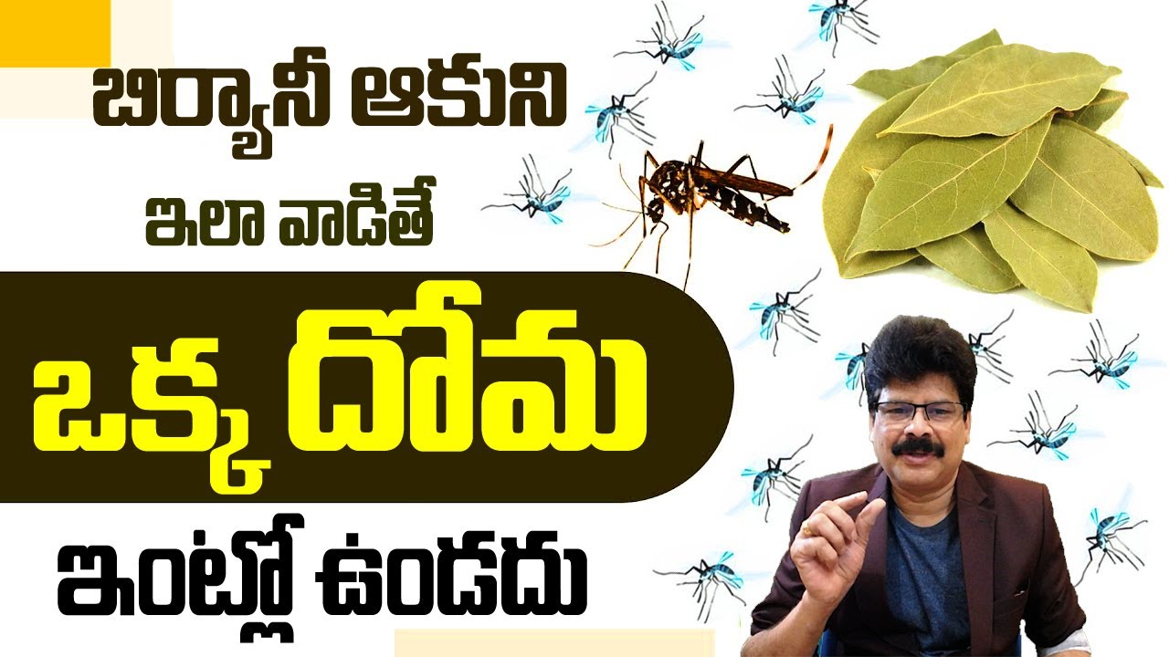 బిర్యానీ ఆకుని ఇలా వాడితే ఇంట్లో ఒక్క దోమ ఉండదు! How to Prevent Mosquitoes in Home | #healthtips