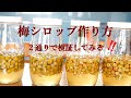 【梅シロップの作り方】おばあちゃんの作る梅シロップ/２通りの作り方で味わいを検証/ハチミツで作る梅シロップ/梅を冷凍して作るシロップ