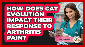 How Does Cat Evolution Impact Their Response To Arthritis Pain? - Happy Cat Handbook