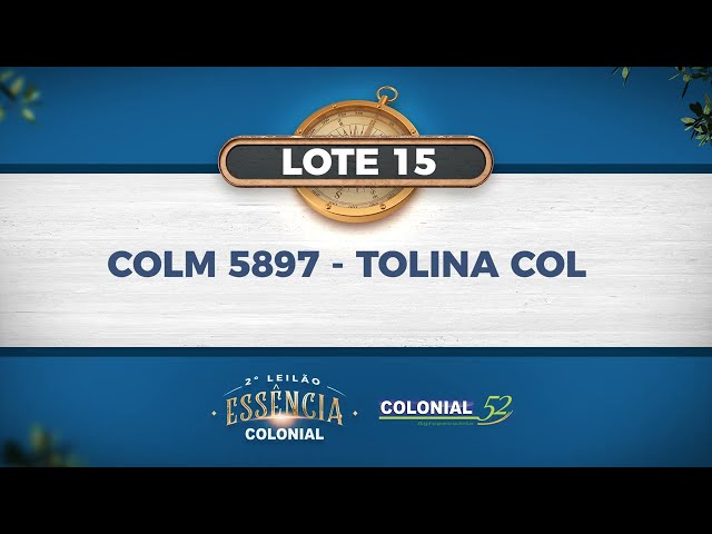LOTE 15   COLM 5897