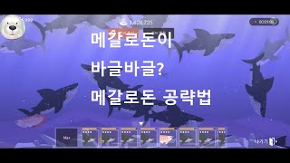 피싱앤라이프(피싱라이프) 메갈로돈, 백상어 공략 screenshot 5