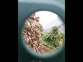 REKANKUBAZE UGEZE MUNDEGE KANGAHEЁЯе ЁЯШнЁЯе Comedy Agas Duet Voiceeffects REKANKUBAZE UGEZE MUNDEGE KANGAHEЁЯе ЁЯШнЁЯе Comedy Agas Duet Voiceeffects