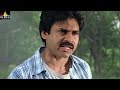 Annavaram Movie Pawan Kalyan warning to Lal | Telugu Movie Scenes | Sri Balaji Video