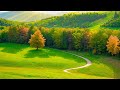 Beautiful Relaxing Music Stop Overthinking Stress Relief Music Sleep Music Calming Music 535 Beautiful Relaxing Music Stop Overthinking Stress Relief Music Sleep Music Calming Music 535