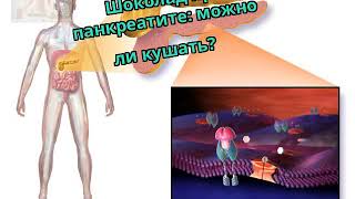 Шоколад при панкреатите: можно ли кушать? Шоколад при панкреатите: можно ли кушать?