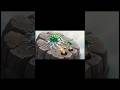 How Earth Created Soil From Nothing! #shorts #trending #soil
