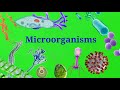 Green screen microorganisms